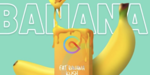 Fat Banana Kush | THC Oil Vaporizer (hybrid)